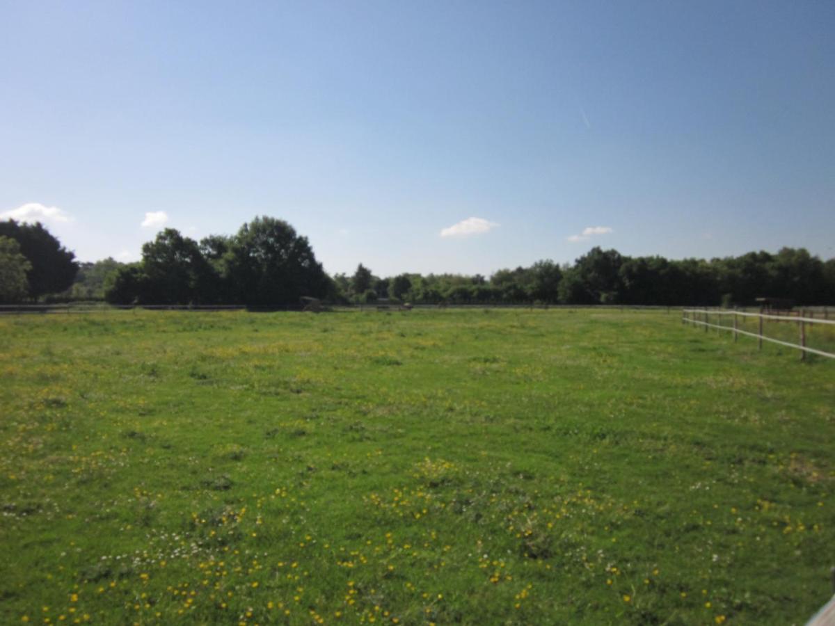 La Valliere En Vue - Gite Avec Sauna Amboise Zewnętrze zdjęcie