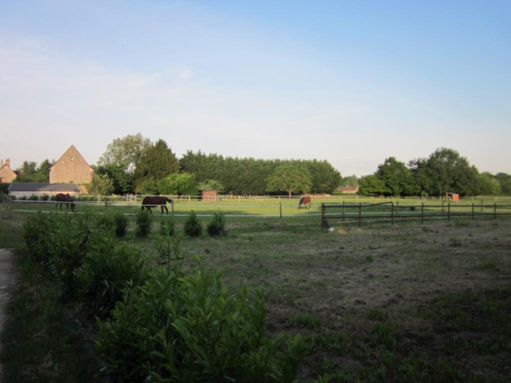 La Valliere En Vue - Gite Avec Sauna Amboise Pokój zdjęcie